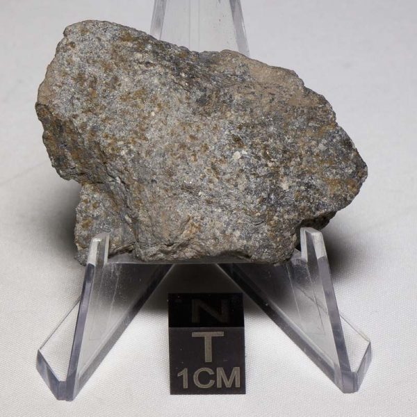 Tamdakht Meteorite 21.9g Endpiece