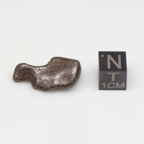 Taza Meteorite (NWA 859) 7.6g