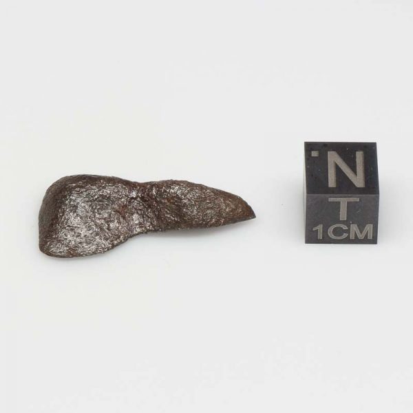 Taza Meteorite (NWA 859) 5.9g