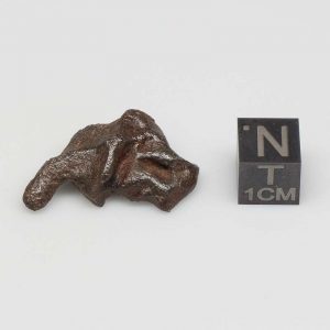 Taza Meteorite (NWA 859) 9.8g