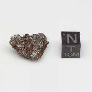 Taza Meteorite (NWA 859) 7.5g