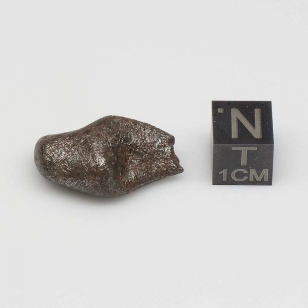 Taza Meteorite (NWA 859) 12.5g