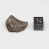 Taza Meteorite (NWA 859) 10.9g