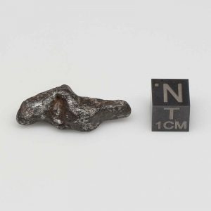 Taza Meteorite (NWA 859) 9.5g