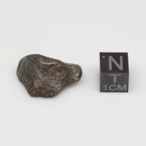 Taza Meteorite (NWA 859) 11.7g