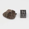 Taza Meteorite (NWA 859) 11.9g