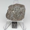 Thuathe Meteorite 6.5g