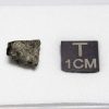 Tissint Mars Meteorite 0.737g