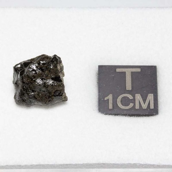 Tissint Mars Meteorite 0.737g
