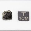 Tissint Mars Meteorite 0.737g