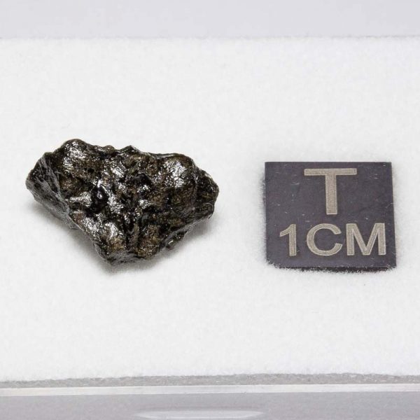 Tissint Mars Meteorite 1.031g