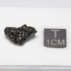 Tissint Mars Meteorite 1.031g