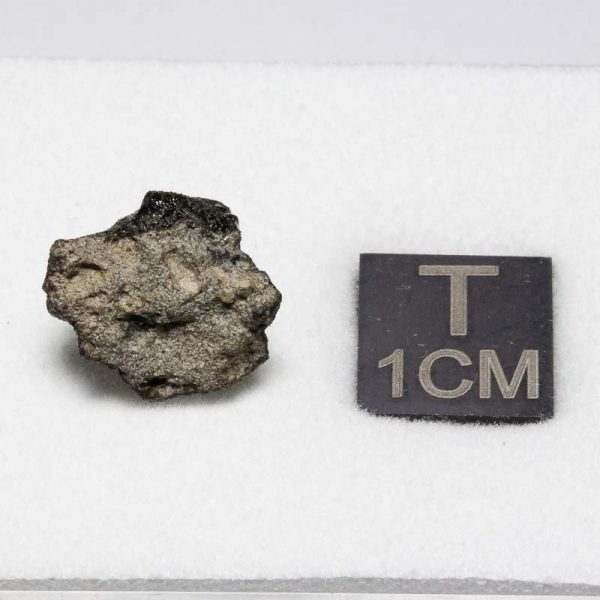 Tissint Mars Meteorite 1.312g