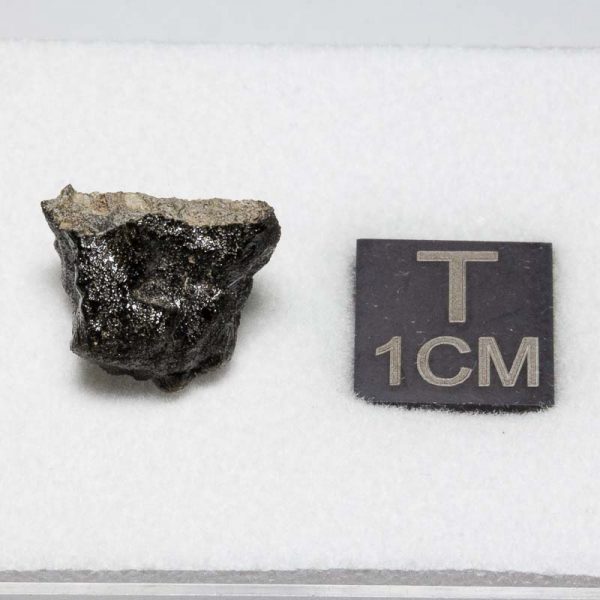 Tissint Mars Meteorite 1.312g