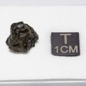 Tissint Mars Meteorite 1.312g