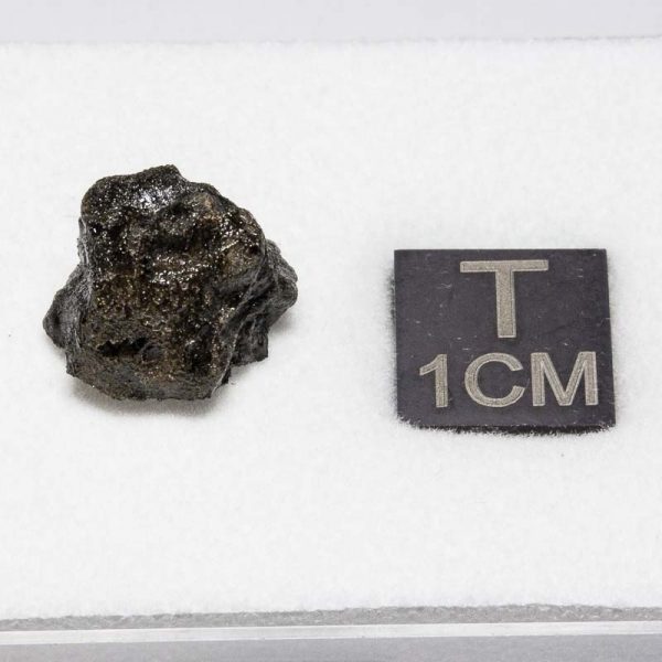 Tissint Mars Meteorite 1.312g