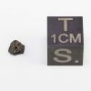 Tissint Mars Meteorite 0.06g