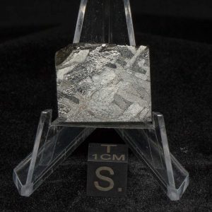 Toluca Meteorite 17.6g