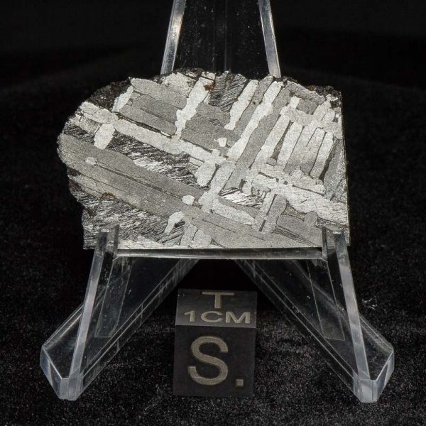 Toluca Meteorite 23.7g