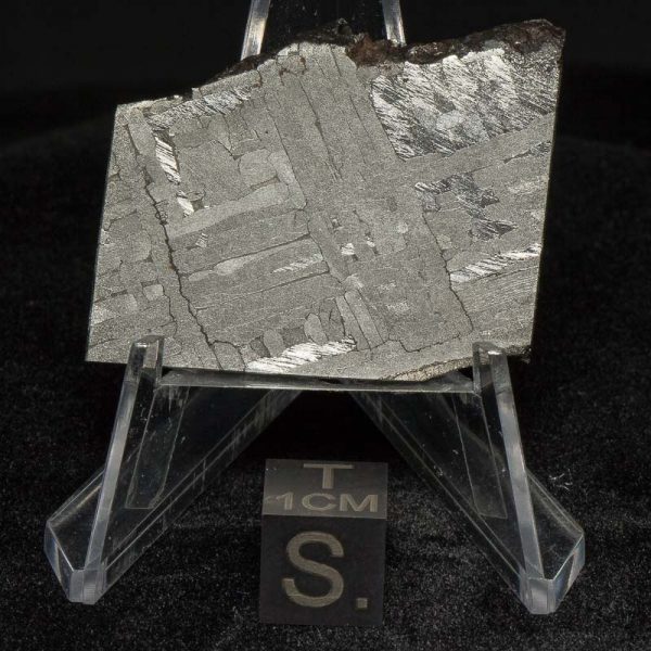 Toluca Meteorite 27.9g