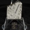 Toluca Meteorite 26.3g