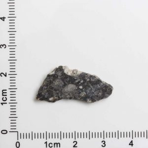 Touat 005 Lunar Meteorite 1.06g