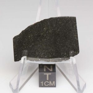 Tsarev Meteorite 7.5g