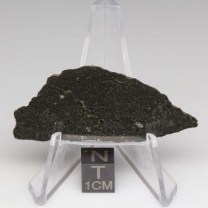 Tsarev Meteorite 6.6g