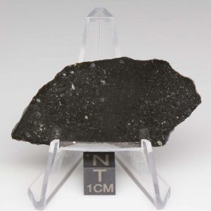 Tsarev Meteorite 9.6g