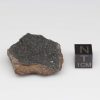 Tsarev Meteorite 20.0g