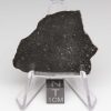 Tsarev Meteorite 9.7g