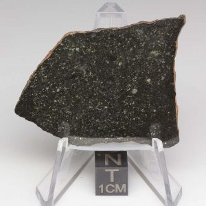 Tsarev Meteorite 11.3g
