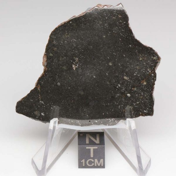 Tsarev Meteorite 12.7g