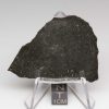 Tsarev Meteorite 10.2g