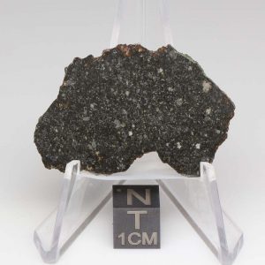 Tsarev Meteorite 4.5g End Cut