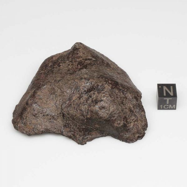 UNWA Meteorite End Piece 148.7g