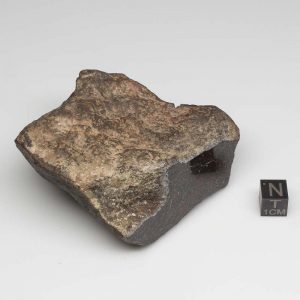 UNWA Meteorite End Piece 323.1g