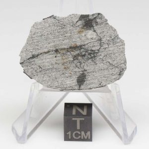 Viñales Meteorite 17.0g