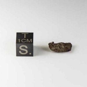 Whitecourt Meteorite 1.1g