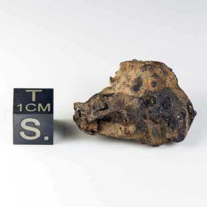 Whitecourt Meteorite 20.6g