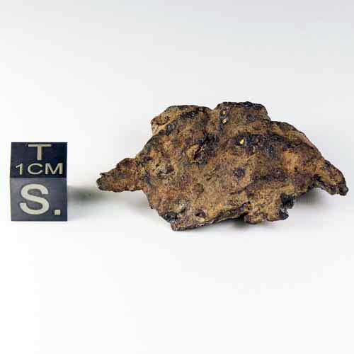 Whitecourt Meteorite 28.8g