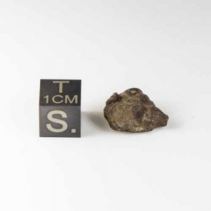 Whitecourt Meteorite 2.7g