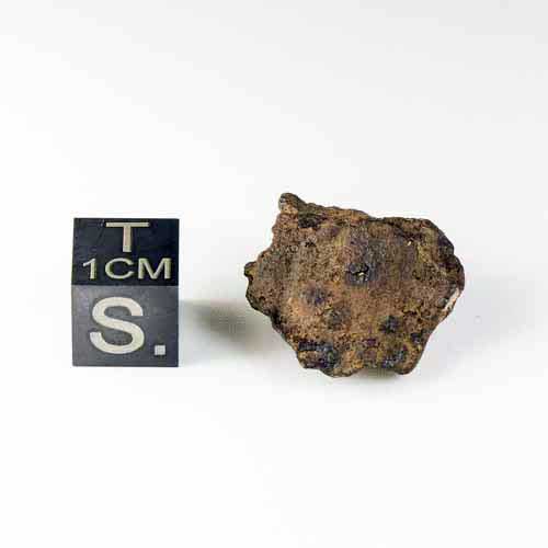 Whitecourt Meteorite 10.6g