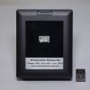 Willamette Meteorite Display 0.28g