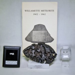 Willamette Meteorite Display 0.34g