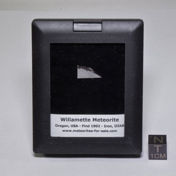 Willamette Meteorite Display 0.52g