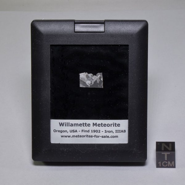 Willamette Meteorite Display 0.69g