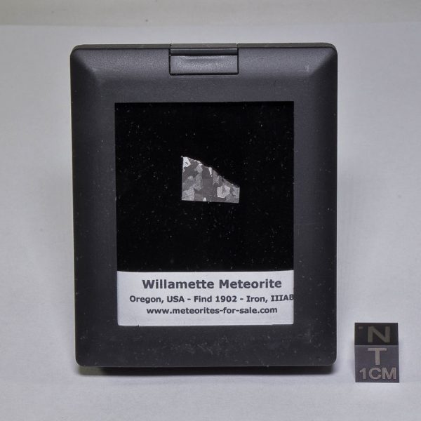 Willamette Meteorite Display 0.77g