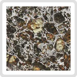 Admire Pallasite Meteorite