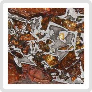 NWA 14492 Pallasite Meteorite